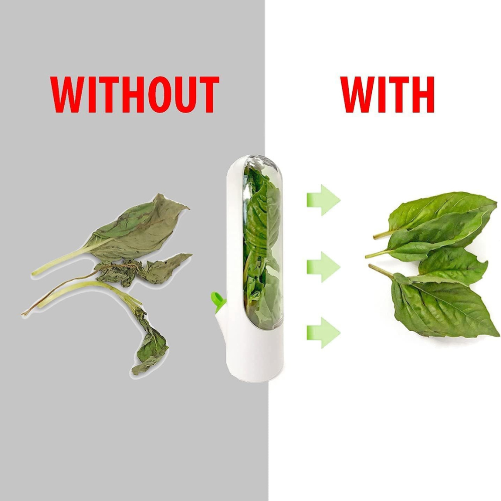Fresh Herb Keeper Container
