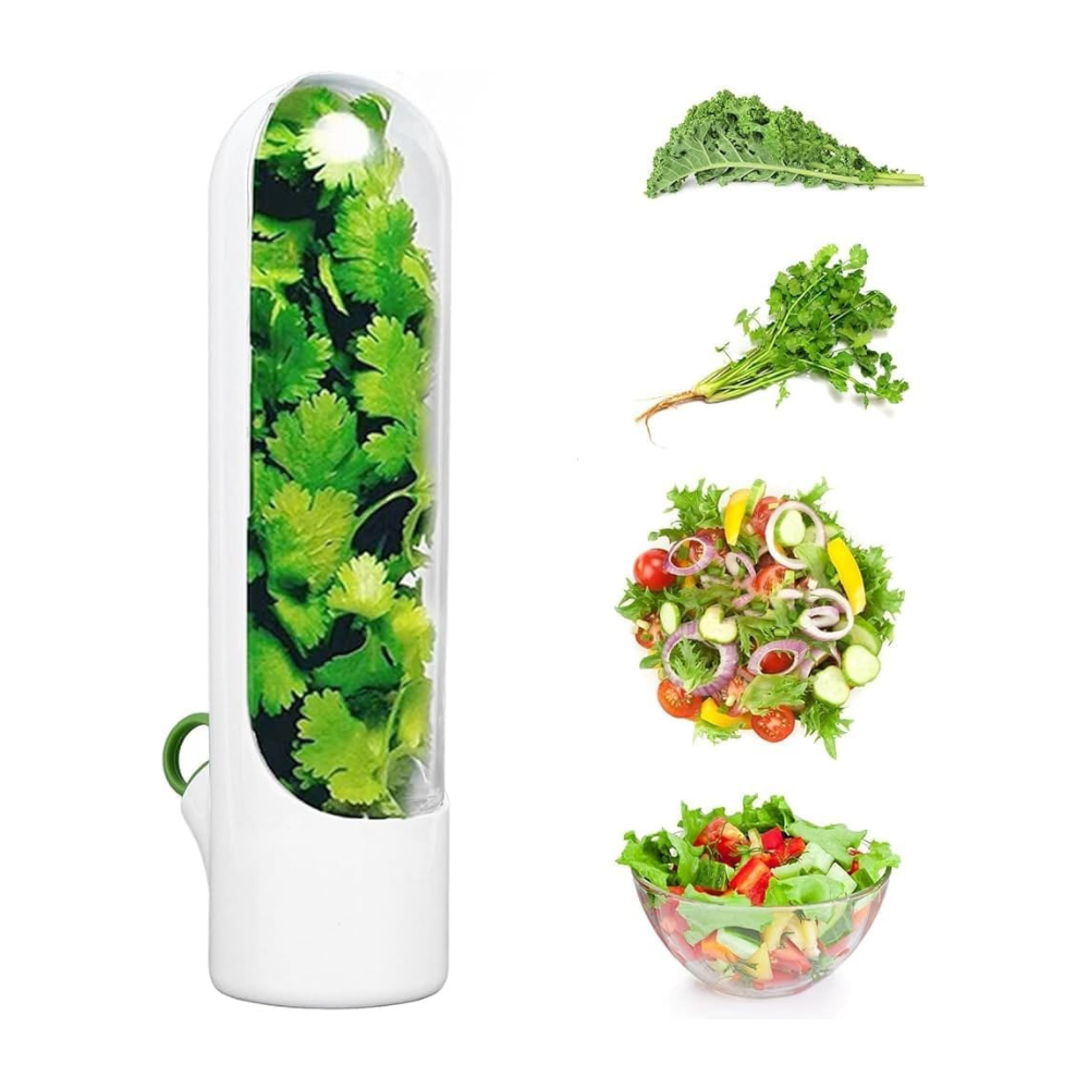 Fresh Herb Keeper Container