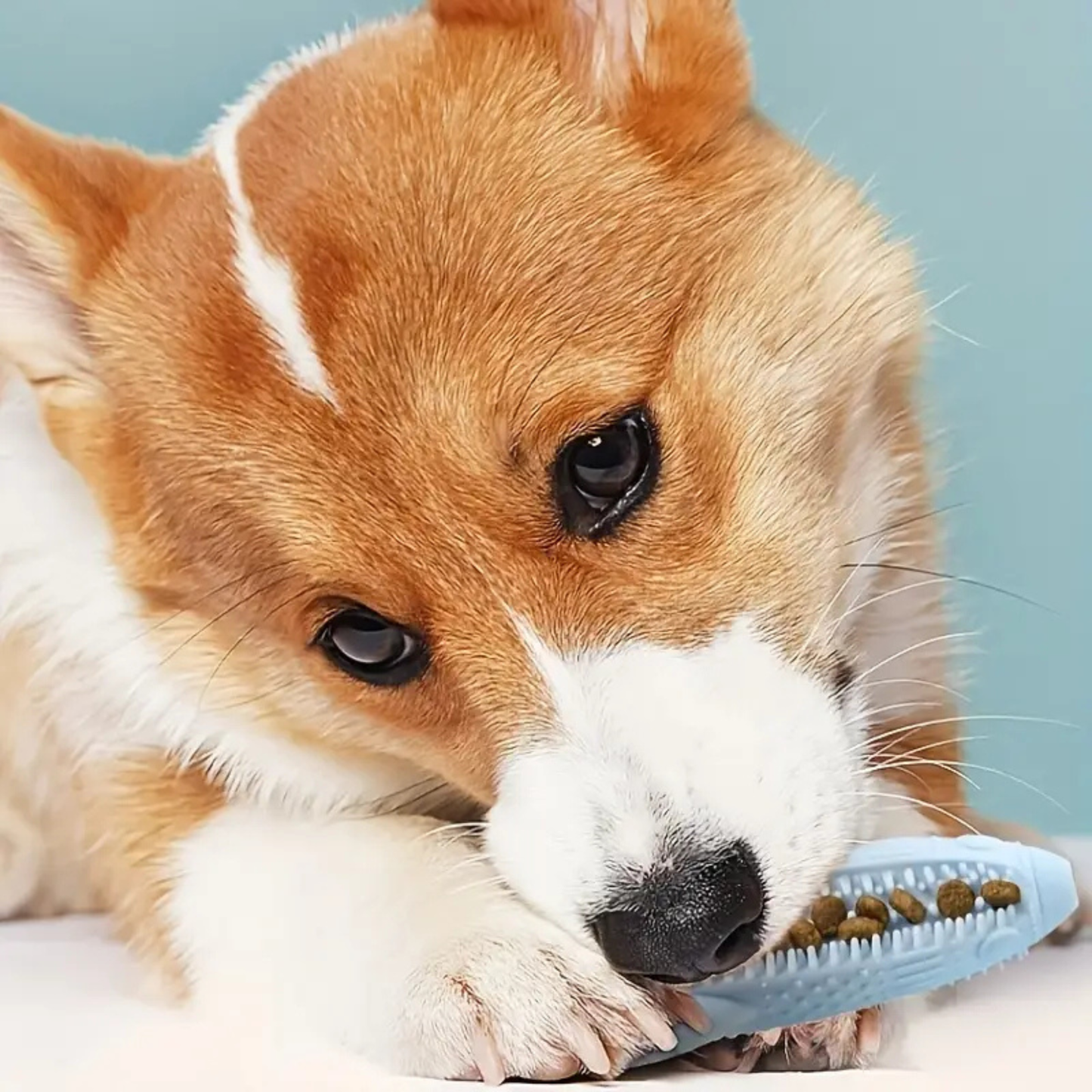 Luxury Interactive Silicone Dog Toothbrush Chew Toy – Dual‑Action Feeding & Dental Clean Toy