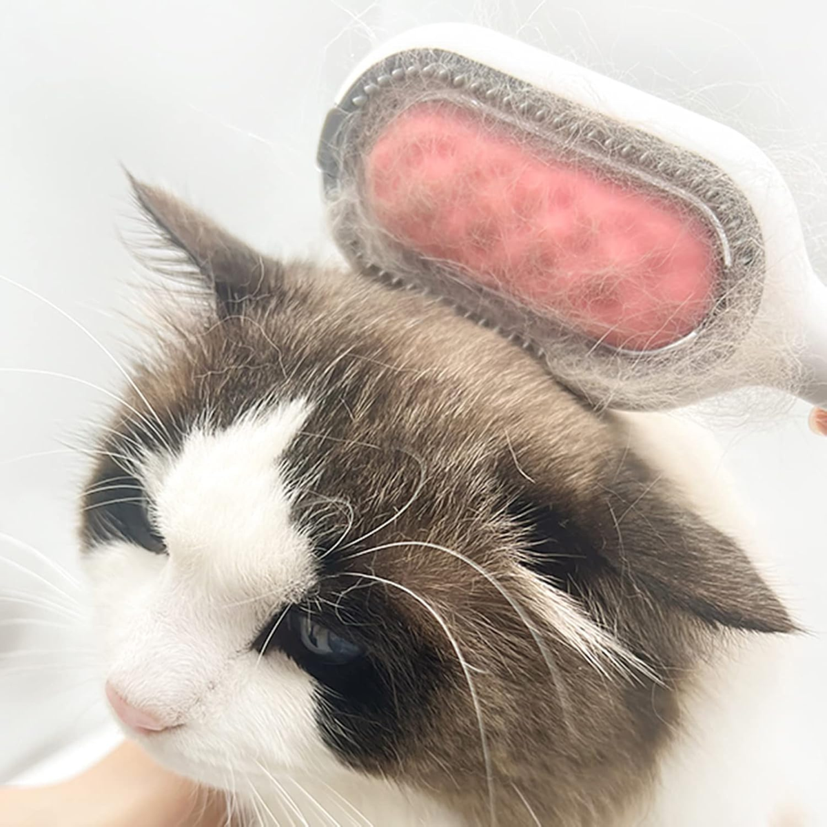 Sticky Hair Removing Brush – Reusable Pet Hair & Lint Remover for Clothes & Furniture